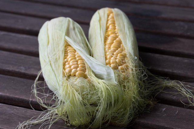 фотография  кукуруза, рыльца. 100г в каталоге от интернет-магазина ТравыЛечебные.РФ
